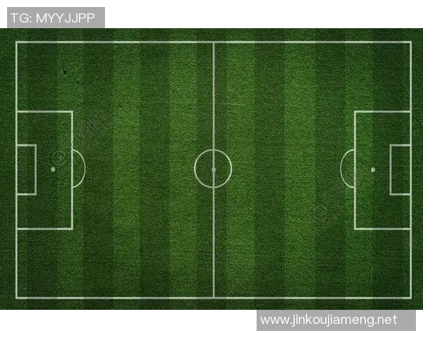 足球明星的成长之路与成就探索全景介绍 足球明星的成长之路与成就探索全景介绍