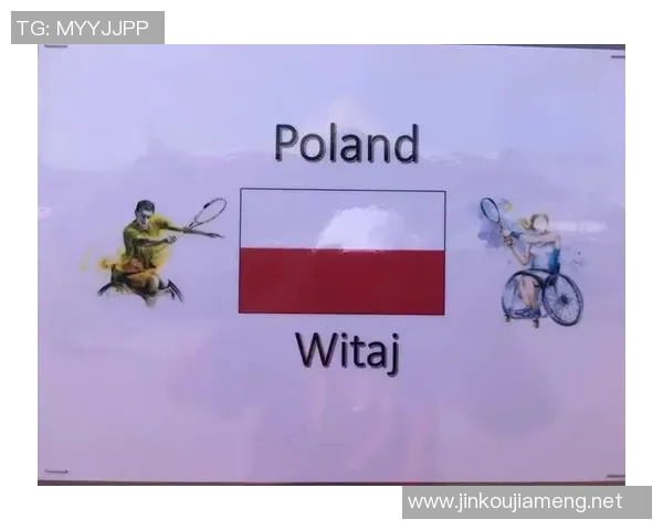 杭州网球队在世界杯中的心理素质分析与表现评估